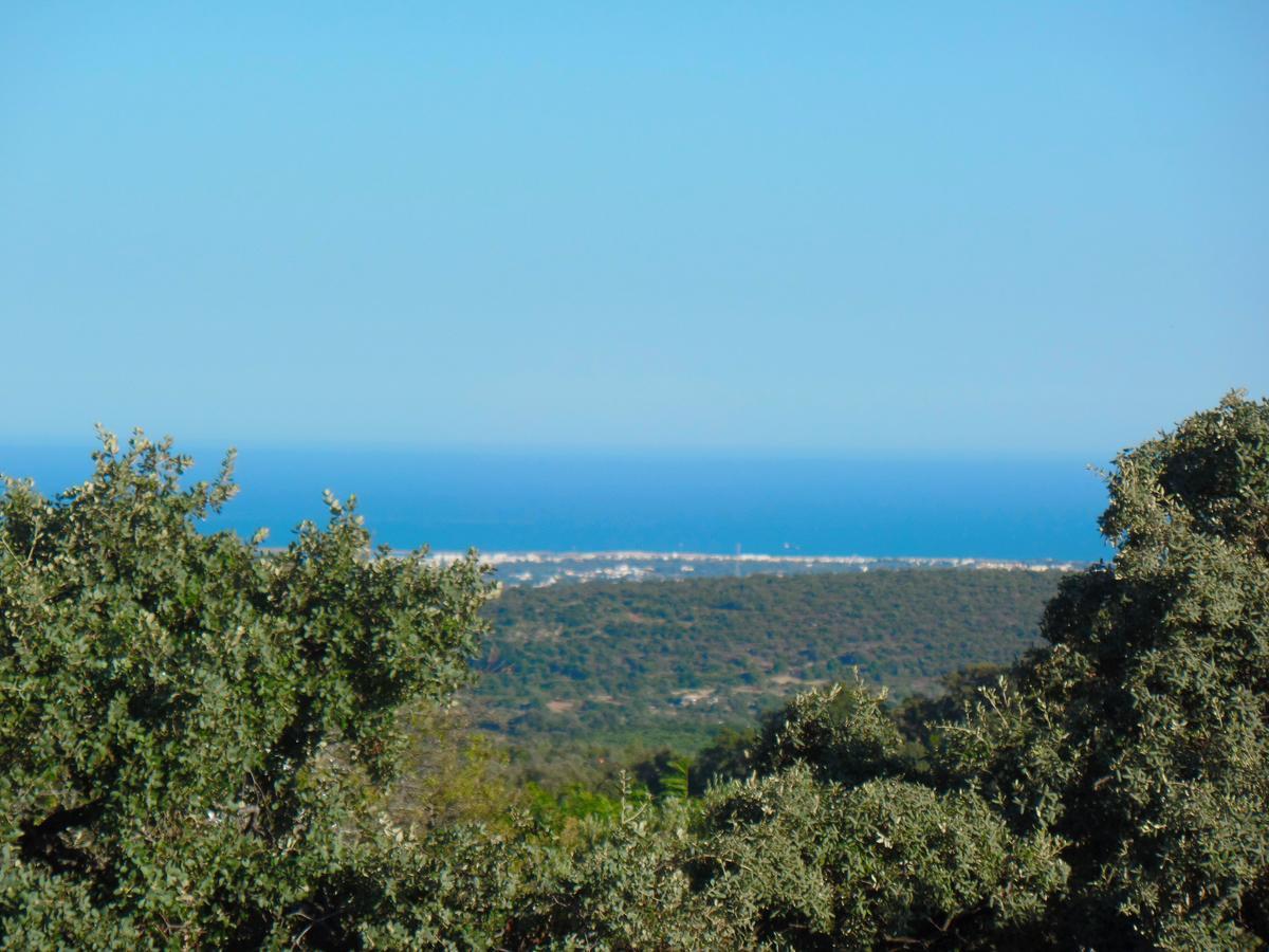 Panoramic Paradise São Brás de Alportel Extérieur photo